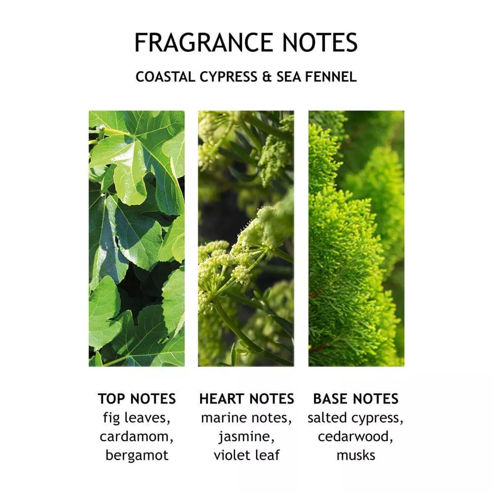 Molton Brown Coastal Cypress & Sea Fennel Body Lotion 300ml